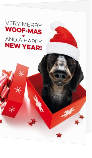 Kerstkaart - Hond in rode geschenkdoos